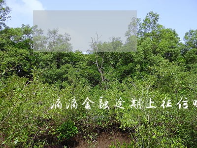 滴滴金融逾期上征信吗 滴滴金融逾期上征信吗