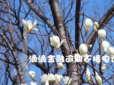 滴滴金融逾期不接电话会怎么样 滴滴金融逾期不接电话会怎么样