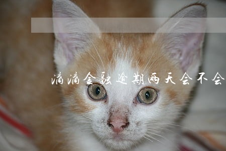 滴滴金融逾期两天会不会上征信 滴滴金融逾期两天会不会上征信