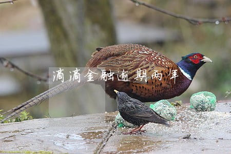滴滴金融逾期两年 滴滴金融逾期两年