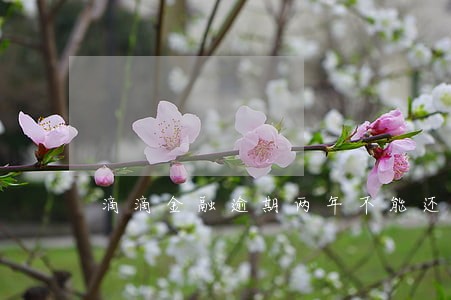 滴滴金融逾期两年不能还款本金