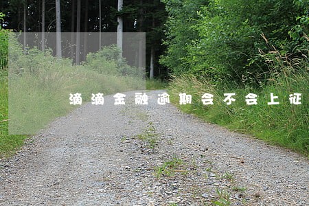 滴滴金融逾期会不会上征信 滴滴金融逾期会不会上征信