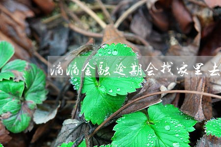 滴滴金融逾期会找家里去吗 滴滴金融逾期会找家里去吗