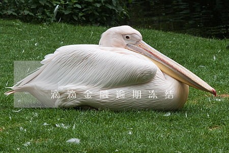 滴滴金融逾期冻结 滴滴金融逾期冻结