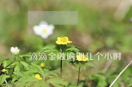 滴滴金融逾期几个小时 滴滴金融逾期几个小时