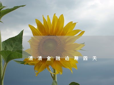滴滴金融逾期四天 滴滴金融逾期四天