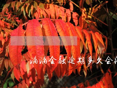 滴滴金融逾期多久会给紧急联系人 滴滴金融逾期多久会给紧急联系人
