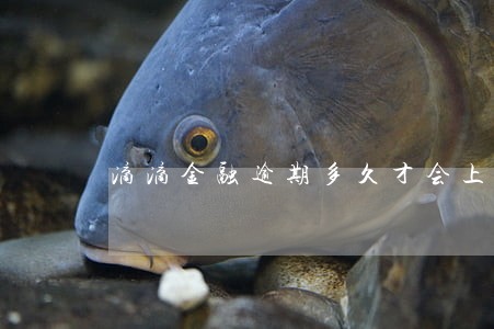 滴滴金融逾期多久才会上征信 滴滴金融逾期多久才会上征信