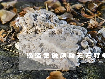 滴滴金融逾期天天打电话 滴滴金融逾期天天打电话