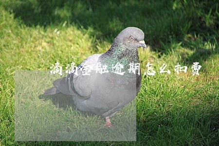 滴滴金融逾期怎么扣费 滴滴金融逾期怎么扣费