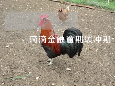 滴滴金融逾期缓冲期 滴滴金融逾期缓冲期