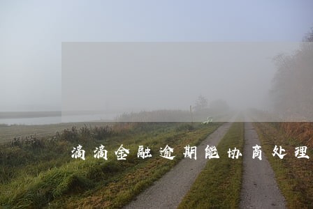 滴滴金融逾期能协商处理
