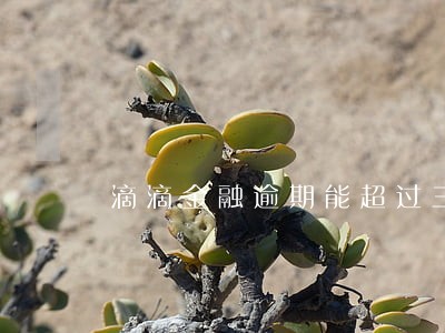 滴滴金融逾期能超过三天吗 滴滴金融逾期能超过三天吗