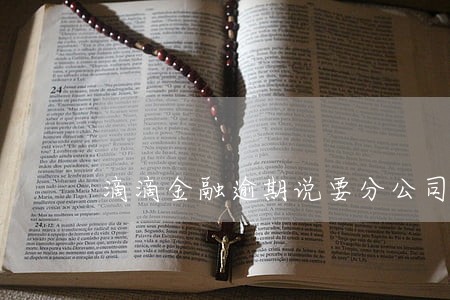 滴滴金融逾期说要分公司上门外访 滴滴金融逾期说要分公司上门外访