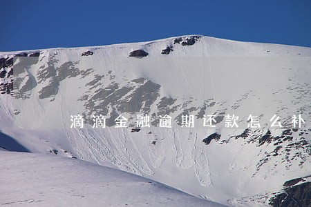 滴滴金融逾期还款怎么补救 滴滴金融逾期还款怎么补救