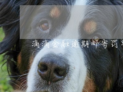 滴滴金融逾期邮寄罚单 滴滴金融逾期邮寄罚单