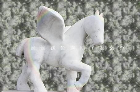 滴滴钱包逾期了怎么办