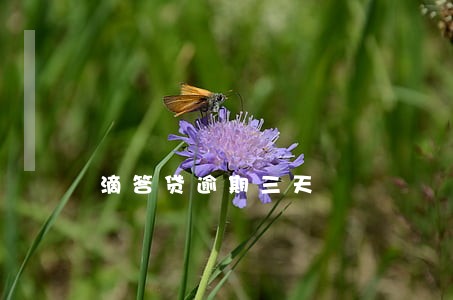 滴答贷逾期三天 滴答贷逾期三天