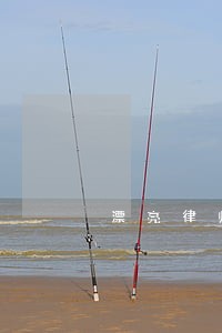 漂亮律师 漂亮律师