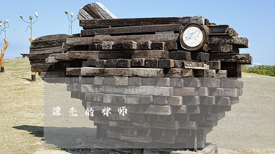 漂亮的律师 漂亮的律师