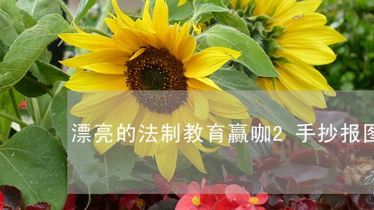 漂亮的法制教育赢咖2手抄报图片 漂亮的法制教育赢咖2手抄报图片