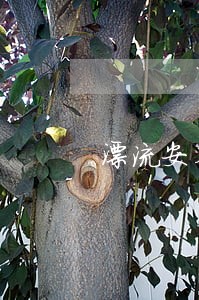 漂流安全法规