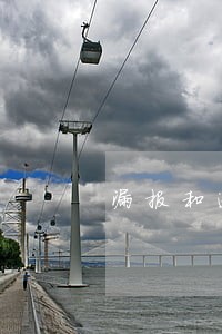 漏报和逾期申报区别 漏报和逾期申报区别
