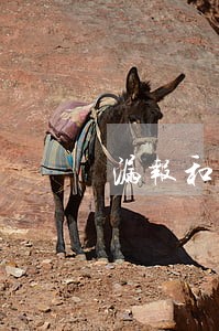 漏报和逾期申报的区别 漏报和逾期申报的区别
