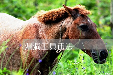 漏洞工具违法 漏洞工具违法