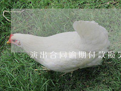 演出合同逾期付款损失 演出合同逾期付款损失