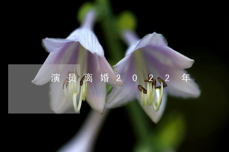 演员离婚2022年 演员离婚2022年