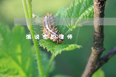 演说家的律师 演说家的律师