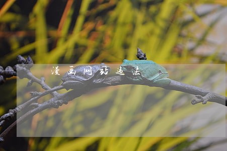 漫画网站违法