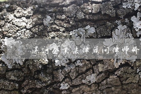 漯河企业法律顾问律师价格 漯河企业法律顾问律师价格