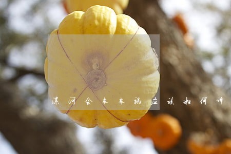 漯河会车车祸应该如何诉讼 漯河会车车祸应该如何诉讼
