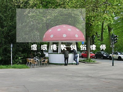 漯河债务纠纷律师