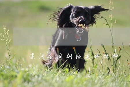 漯河合同纠纷案件律师