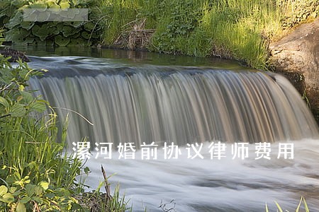 漯河婚前协议律师费用 漯河婚前协议律师费用