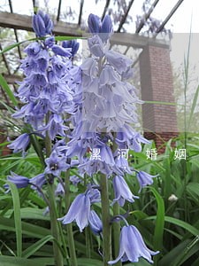漯河婚姻法律咨询 漯河婚姻法律咨询