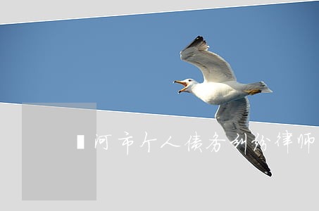 漯河市个人债务纠纷律师 漯河市个人债务纠纷律师