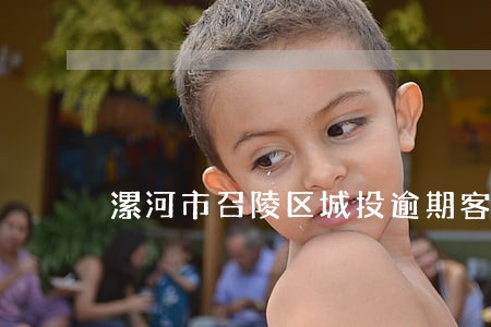 漯河市召陵区城投逾期客户