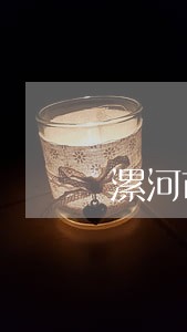 漯河市召陵区拍卖