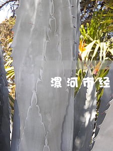 漯河市经济合同仲裁律师 漯河市经济合同仲裁律师