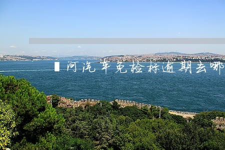 漯河汽车免检标逾期去哪里交罚款 漯河汽车免检标逾期去哪里交罚款