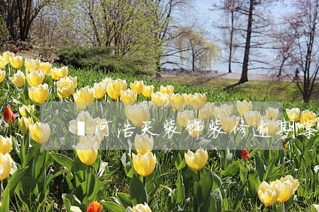 漯河浩天装饰装修逾期案例 漯河浩天装饰装修逾期案例