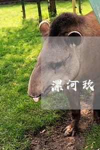漯河玖富万卡逾期减免利息 漯河玖富万卡逾期减免利息