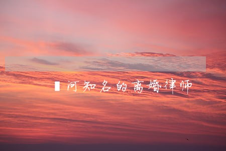 漯河知名的离婚律师 漯河知名的离婚律师