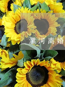 漯河离婚房产律师事务所 漯河离婚房产律师事务所