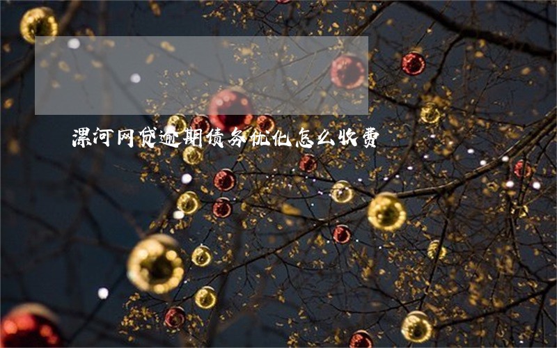 漯河网贷逾期债务优化怎么收费