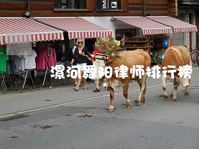 漯河舞阳律师排行榜 漯河舞阳律师排行榜